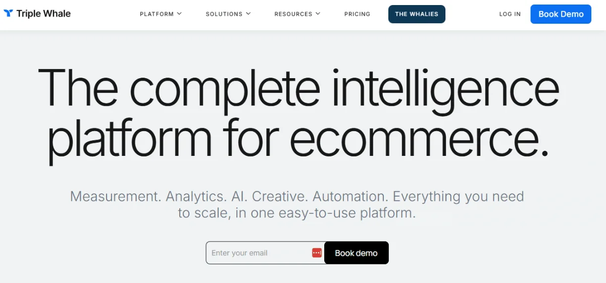 Triple Whale Homepage